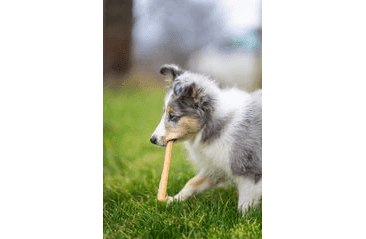 MARP HOLISTIC - KOLAGENOVÉ TYČINKY S KURKUMOU 5KS