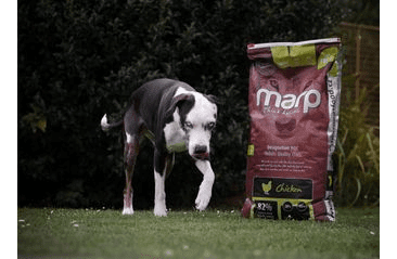 MARP HOLISTIC CHICKEN - KUŘECÍ BEZ OBILOVIN 12KG