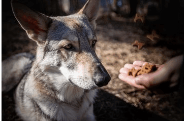 DOXNEO PAMLSKY - KACHNA S POMERANČEM 400G