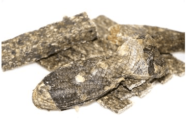 MARP HOLISTIC KOST Z LOSOSOVÉ KŮŽE