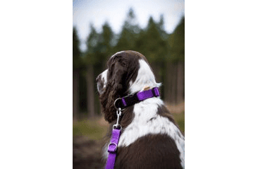 AMINELA POPRUHOVÉ PŘEPÍNACÍ VODÍTKO 15MM/220CM FIALOVÉ SLEVA 20% VÝPRODEJ