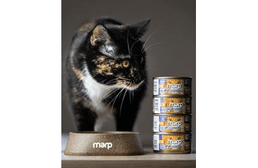 MARP HOLISTIC PLUS KONZERVA PRO KOČKY – TUŇÁKOVÉ PATÉ SE SARDINKAMI 24X70G