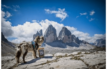 MARP HOLISTIC WHITE MIX - PAMLSKY PRO PSY 500G