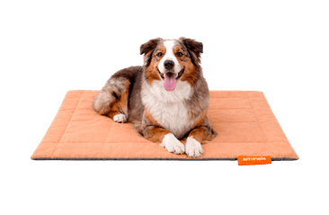 AMINELA PODLOŽKA S OBALEM L 120X80 ORANŽOVÁ