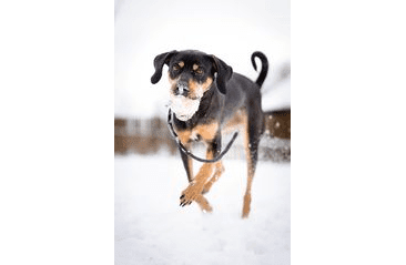 BAFPET MÍČEK FOAM SE ŠŇŮRKOU - ORANŽOVÁ