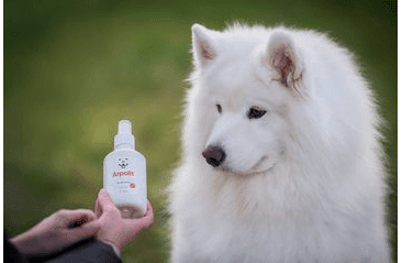 ARPALIT® CARE ÚSTNÍ VODA 2V1 250ML