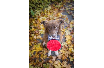 AMARAGO LÍZACÍ PODLOŽKA KRUH ČERVENÝ