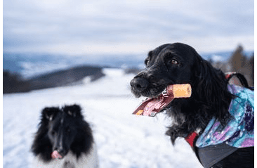 MARP HOLISTIC - KOLAGENOVÁ ROLKA S KURKUMOU