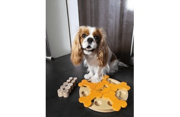 DŘEVĚNÝ HLAVOLAM BONE'S CAROUSEL/OBTÍŽNOST 1-4