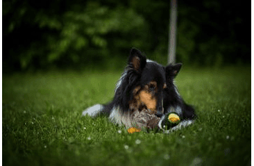 MULTIPET MIGRATORS DIVOKÁ KACHNA PLYŠ 38 CM