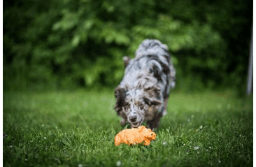 MULTIPET ORIGAMI PALS CHROCHTAJÍCÍ PRASE LATEX 20,5 CM