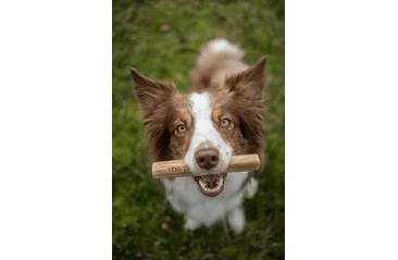 MARP HOLISTIC - KÁVOVÉ DŘEVO M (70 - 100G)