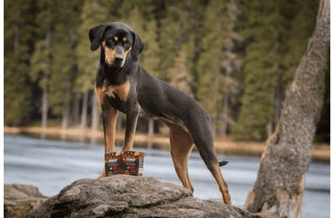 MARP HOLISTIC KRŮTA S KUŘETEM TETRAPAK 375G
