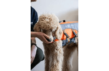 FARM COMPANY ZÁCHRANNÁ PLOVACÍ VESTA L