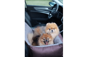 AMINELA AUTOSEDAČKA S 50X40CM HNĚDÁ/ŠEDÁ