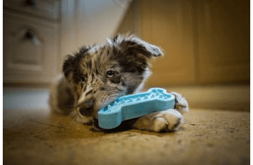 AMARAGO ECO FRIENDLY HRAČKA PRO PSY KOST MALÁ MODRÁ, 13CM/70G