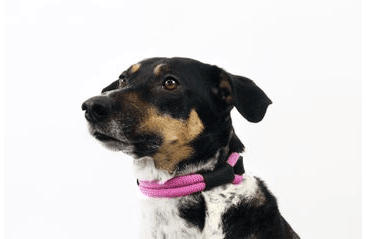 AMINELA FERRATA LANOVÝ OBOJEK - RŮŽOVÁ