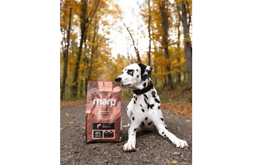 MARP HOLISTIC SALMON - LOSOSOVÉ BEZ OBILOVIN 2KG