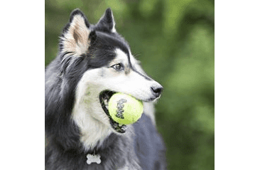 KONG HRAČKA SQUEAKAIR TENISOVÝ MÍČ S 3KS