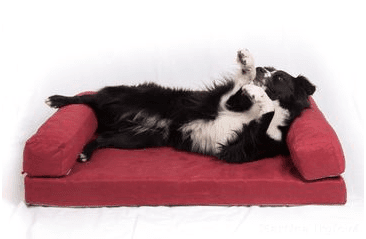 Aminela pelíšek s okrajem 100x70cm Half and Half červená/světle šedá 100x70cm Half and Half červená/světle šedá