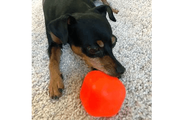 RUFF DAWG NEZNIČITELNÁ HRAČKA PRO PSY KOSTKA 6,35CM PRO PSY DO 18 KG