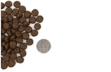 MARP HOLISTIC TURKEY CAT - KRŮTÍ BEZ OBILOVIN PRO KOČKY 2KG