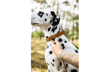 BAFPET OBOJEK Z MASTNÉ KŮŽE, ZUBR - KOŇAK