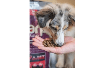 MARP HOLISTIC RED MIX - HOVĚZÍ,KRŮTÍ,ZVĚŘINA BEZ OBILOVIN 2KG
