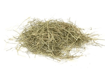 PUČÁLKA LUČNÍ SENO 1KG