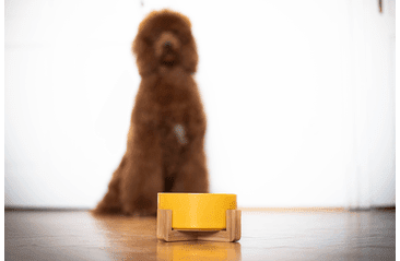 AMINELA KERAMICKÁ MISKA V DŘEVĚNÉM STOJANU - ŽLUTÁ 750ML