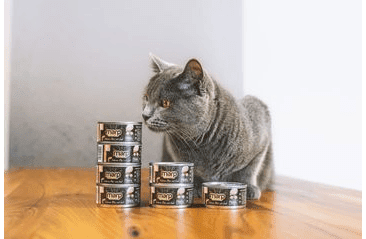 MARP SALMON FILET KONZERVA PRO KOČKY S FILETY Z LOSOSA 12X70G