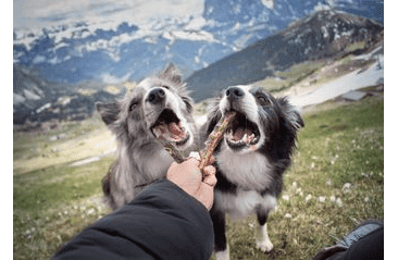 DOXNEO KACHNÍ KRKY 500G