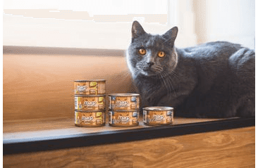 MARP HOLISTIC PLUS KONZERVA PRO KOČKY – TUŇÁKOVÉ PATÉ S KREVETAMI 70G