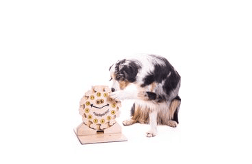 DŘEVĚNÝ HLAVOLAM CLOCK