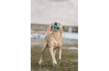 SPUNKY PUP KOUSACÍ HVĚZDA 12CM