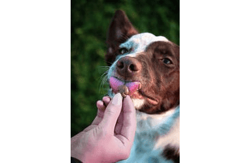 MARP HOLISTIC – LOSOSOVÉ PAMLSKY SE LNĚNÝM SEMÍNKEM BEZ OBILOVIN 150G