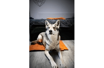 AMINELA PODLOŽKA S OBALEM 80X60 ORANŽOVÁ