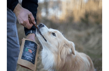 FARM COMPANY PIU BUONO PAMLSKY PRO PSY S ČERVENÝM OVOCEM 80G