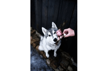 MARP HOLISTIC - KOLAGENOVÁ TYČINKA S KELPOU