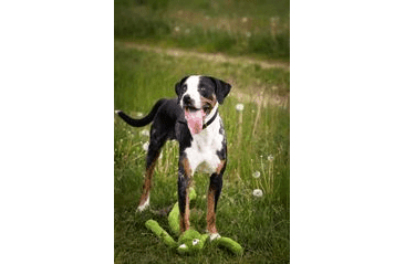 MULTIPET SWINGIN SLEVINS ŽÁBA PLYŠ 67 CM