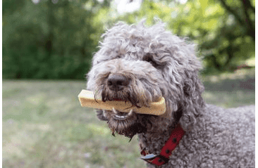 MARP HOLISTIC - HORSKÁ TYČINKA L (70 - 79G)