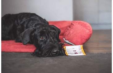 ENTEROZOO® DETOXIKAČNÍ GEL 15X10G