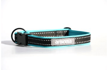 Aminela obojek se sponou Sport & City 25mm/35-60cm, tyrkysová Aminela obojek se sponou Sport & City 25mm/35-60cm, tyrkysová