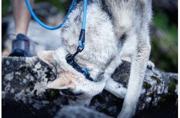 AMINELA FERRATA LANOVÉ VODÍTKO - MODRÁ