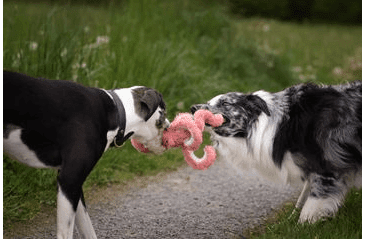 MULTIPET DEEP SEA OLIHEŇ PLYŠ 30 CM