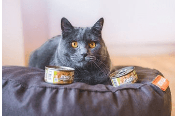 MARP HOLISTIC PLUS KONZERVA PRO KOČKY – KUŘE S KREVETAMI A BRUSINKAMI V ŽELÉ 24X70G