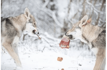 MARP TREATS BUFFALO CRUNCHIES - SUŠENÁ PRŮDUŠNICE 50G