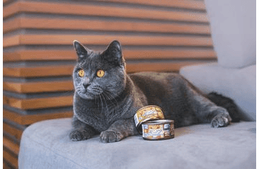 MARP HOLISTIC PLUS KONZERVA PRO KOČKY – KUŘECÍ PATÉ S KREVETAMI 70G