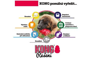 KONG HRAČKA GUMA CLASSIC L ČERVENÁ