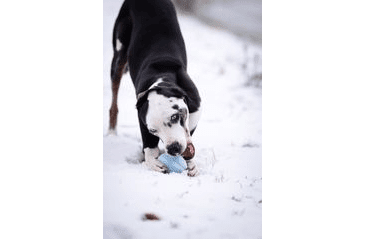 AMARAGO ECO FRIENDLY HRAČKA PRO PSY RUGBY MÍČ MODRÝ, 10CM/110G